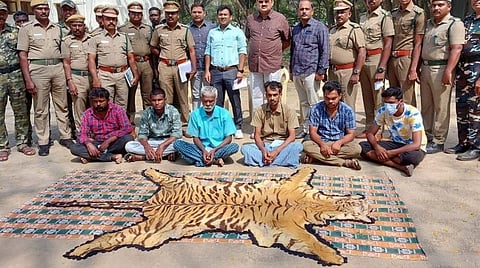 பொள்ளாச்சி அருகே புலித்தோலை விற்க முயன்ற 6 பேரைக் கைது செய்த வனத்துறையினர்.