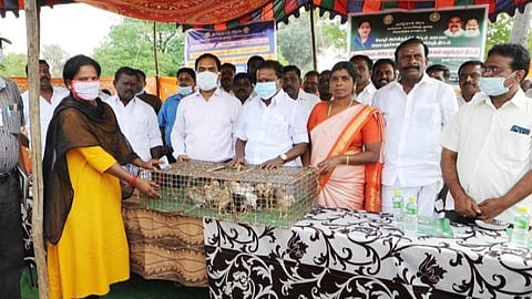 காளையார்கோவிலில் கால்நடை பராமரிப்புத்துறை சார்பில் நடந்த விழாவில் பயனாளிகளுக்கு இலவச கோழிக்குஞ்சுகளை அமைச்சர் ஜி.பாஸ்கரன் வழங்கினார். அருகில் மாவட்ட ஆட்சியர் பி.மதுசூதனன் ரெட்டி.