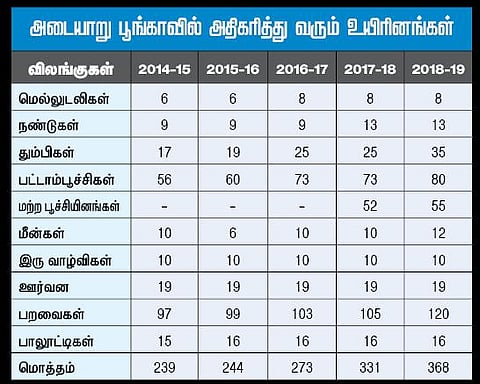 எண்ணூர் கழிமுகத்தில் ரூ.189 கோடியில் சுற்றுச்சூழல் பூங்கா: சென்னை ஆறுகள் சீரமைப்பு அறக்கட்டளை நடவடிக்கை