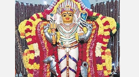 தேய்பிறை அஷ்டமியில் பைரவ தரிசனம்; தெருநாய்களுக்கு இரண்டு பிஸ்கட்!