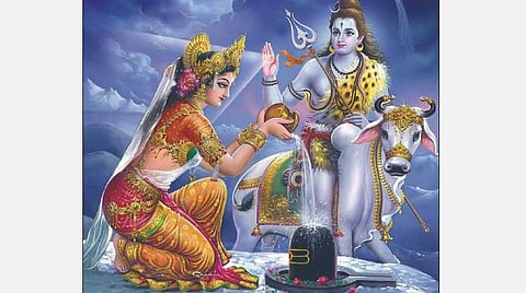 தை பிரதோஷம்... சிவனாருக்கு வில்வம்!