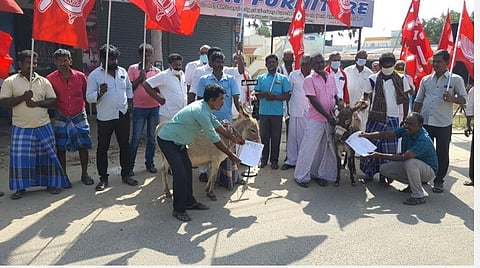 கோவில்பட்டியில் மந்தித்தோப்பு சாலையை விரிவுபடுத்திச் சீரமைக்காததைக் கண்டித்து இந்தியக் கம்யூனிஸ்ட் கட்சி சார்பில் கழுதைகளிடம் மனு வழங்கும் போராட்டம் நடந்தது.