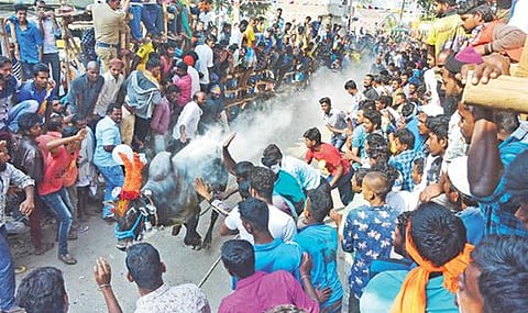 கிருஷ்ணகிரியில் நடந்த எருதுவிடும் விழாவில் சீறிப்பாய்ந்த காளைகள்.