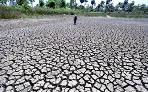 நெல்லை மாவட்டத்தில் கோடை தொடங்கும் முன்பே வறண்டுபோன 44 குளங்கள்