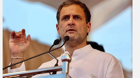 காங்கிரஸ் எம்.பி. ராகுல் காந்தி : கோப்புப்படம்
