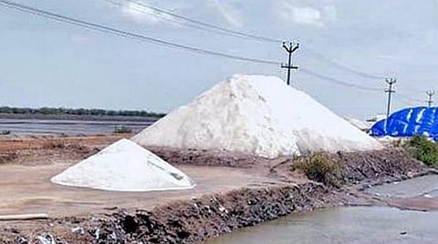 வேதாரண்யத்தில் முக்கியத்துவம் வாய்ந்த உப்பளத் தொழில்.