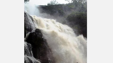 222 - தென்காசி