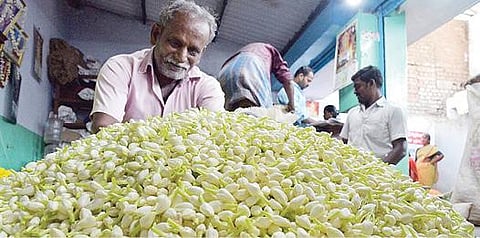 சாகுபடி குறைந்ததால் மதுரை மல்லிகை பூக்களுக்கு நிரந்தர பற்றாக்குறை: கரோனா ஊரடங்கால் வெளிநாட்டு ஏற்றுமதி 60 சதவீதம் குறைந்தது