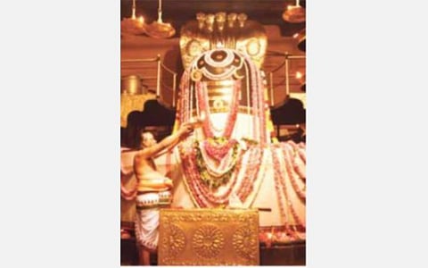 தஞ்சாவூர் மாவட்டத்தில் மகா சிவராத்திரி விழா: சிவன் கோயில்களில் பக்தர்கள் தரிசனம்