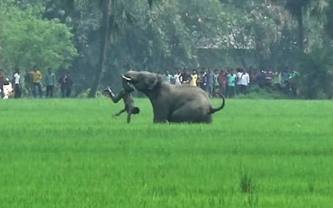பிரதிநிதித்துவப் படம்