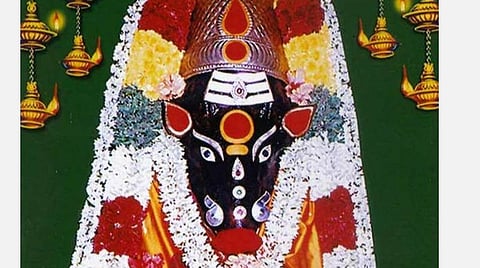 பஞ்சமி... பங்குனி வியாழன்... வளம் தருவாள் வாராஹி