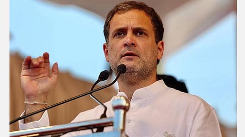 காங்கிரஸ் எம்.பி. ராகுல் காந்தி : கோப்புப்படம்