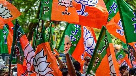 அசாம் தேர்தலில் முக்கிய பங்கு வகிக்கும் மூங்கில், பிரம்புகள்: பாஜகவிற்கு மீண்டும் ஆட்சி அமைக்க உதவுமா?