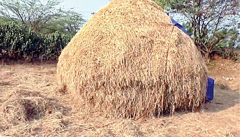 ரூ.1 கோடி பணம் பறிமுதல் செய்யப்பட்ட அழகர்சாமியின் வீட்டுக்குப் பின்புறம் உள்ள வைக்கோல்போர்.
