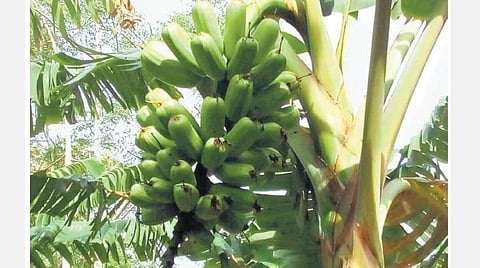 கோப்புப்படம்