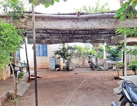 வாடிப்பட்டி அருகே பெருமாள்பட்டியில் வாக்காளர்களுக்காக வாக்குச்சாவடி மையத்தில் அமைக்கப்பட்ட தென்னங்கீற்று பந்தல்.