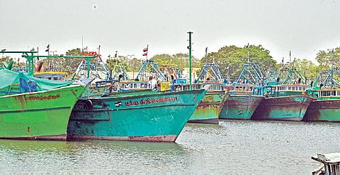 போதுமான மீன்பாடு இல்லாததால் கடலுக்கு செல்லாமல் தூத்துக்குடி மீன்பிடித் துறைமுகத்தில் விசைப்படகுகள் நிறுத்தி வைக்கப்பட்டுள்ளன. இதனால் மீன்கள் விலை அதிகரித்துள்ளது. படம்: என்.ராஜேஷ்