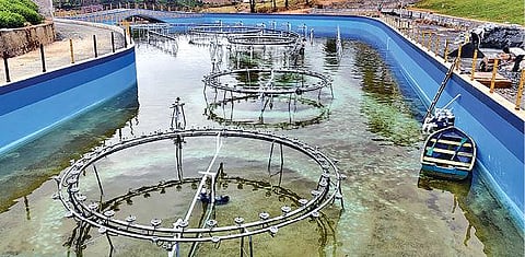 உதகை கர்நாடகா அரசு பூங்காவில் ‘இசை நீரூற்று’ - சுற்றுலா பயணிகள் பார்வையிட விரைவில் திறப்பு