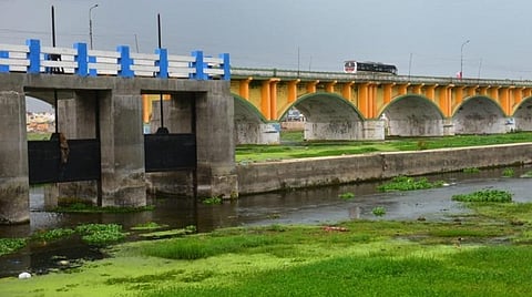 மதுரை வைகை ஆற்றின் குறுக்கே தடுப்பணைகள் கட்டியது வீணானதா? கழிவுநீர் தேங்குவதால் பரவும் தொற்று நோய்கள்