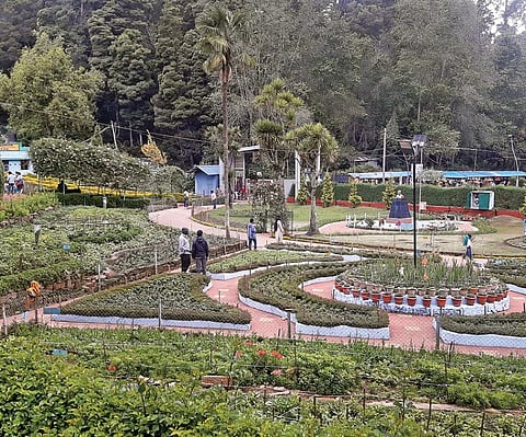கொடைக்கானலில் முகாமிட்டுள்ள முக்கிய பிரமுகர்கள்- சுற்றுலா பயணிகள் வருகை வெகுவாக குறைந்தது