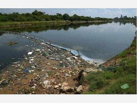 தொழிற்சாலைக் கழிவுகளால் நதிகள் மாசு; தடுக்க நிபுணர் குழு அமைக்க வேண்டும்: உயர் நீதிமன்றம் உத்தரவு