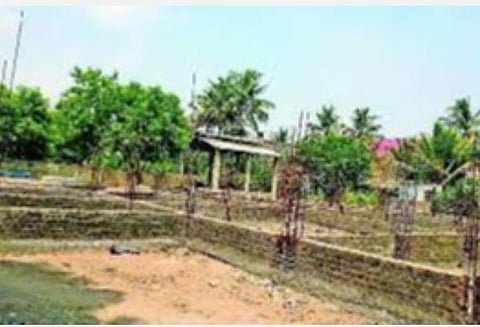 பிரதிநிதித்துவப் படம்