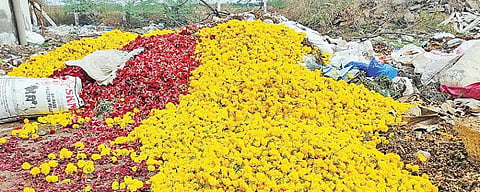 கரோனா கட்டுப்பாடுகளால் பூக்கள் விலை வீழ்ச்சியடைந்துள்ளதால் மாட்டுத்தாவணி மலர்ச்சந்தையில் பூக்களை குப்பையில் கொட்டும் விவசாயி.
