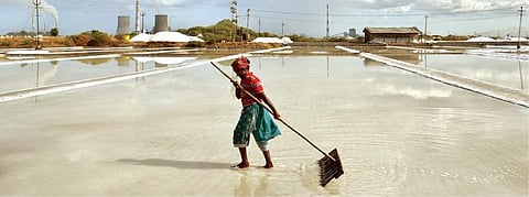 தூத்துக்குடி பகுதியில் உள்ள உப்பளம் ஒன்றில் கூட்டமில்லாமல் தனியாக வேலை செய்யும் பெண் தொழிலாளி. படம்: என்.ராஜேஷ்