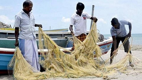 மீன்பிடி தடைக்கால நிவாரணத் தொகை ரூ.5000 மீனவர்களின் வங்கிக் கணக்குகளில் நேரடியாக வரவு: அமைச்சர் அனிதா ராதாகிருஷ்ணன்