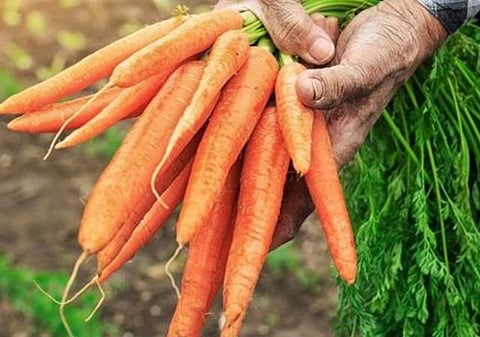 பிரதிநிதித்துவப் படம்