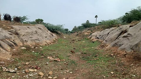 சிவகங்கை மாவட்டம் திருமலை அருகே சீரமைக்கப்படாமல் மண் கால்வாயாக இருக்கும் ஷீல்டு கால்வாய்.