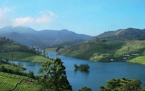தேனி மாவட்டத்திற்கு உரிய பருவத்தில் கிடைத்த பாசன நீரினால் உணவு உற்பத்தி அதிகரிக்க வாய்ப்பு