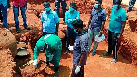 சிவகளையில் அகழாய்வு பணியில் கண்டெடுக்கப்பட்ட முதுமக்கள் தாழிகளை திறந்து அவைகளில் உள்ள எலும்புகளை மரபணு சோதனைக்காக சேகரிக்கும் பணியில் ஈடுபட்ட மதுரை காமராசர் பல்கலைக்கழக ஆய்வுக் குழுவினர்.