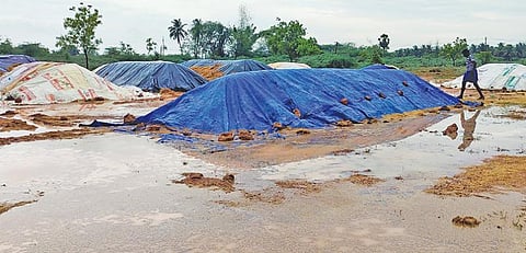 கடலூரை அடுத்த தோட்டப்பட்டு கிராமத்தில் உள்ள நேரடி நெல் கொள்முதல் நிலையத்தில் குவித்து வைக்கப்பட்டிருந்த நெல் மணிகள். மழையால் தார்பாய்கள் கொண்டு மூடப்பட்டுள்ளன.