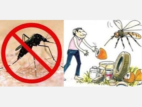 தமிழகத்தில் பரவும் டெங்கு காய்ச்சல்: டெங்கு பரப்பும் கொசுக்கள் வளர நாமே காரணமா? தடுப்பது எப்படி?