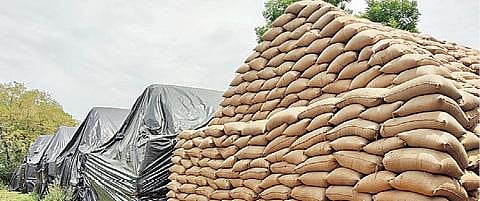 திருப்புவனம் அருகே திருமாஞ்சோலை நுகர்பொருள் வாணிப கழக கிடங்கில் திறந்த வெளியில் வைக்கப்பட்டுள்ள நெல் மூட்டைகள்.