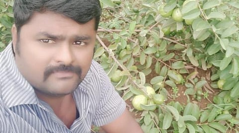 தண்ணீர் தட்டுப்பாடு காரணமாக சொட்டுநீரில் கொய்யா சாகுபடி செய்து லாபமீட்டும் பட்டதாரி இளைஞர்