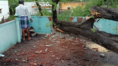 வாணியம்பாடி அடுத்த திருவிகநகரைச் சேர்ந்த ஷான்பாட்சா வீடு மீது மரம் விழுந்ததால் அவரது வீட்டு சுற்றுச்சுவர் சேதமானது.
