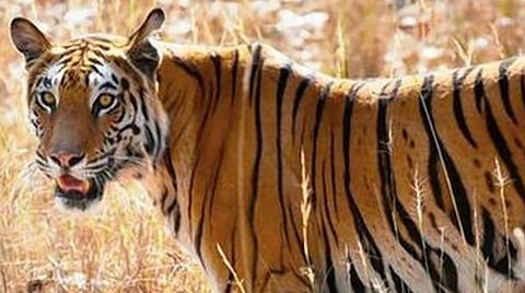 பிரதிநிதித்துவப் படம்