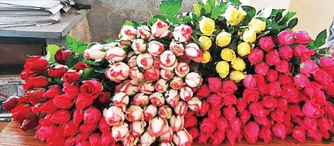 சூளகிரி வட்டாரத்தில் பல்வேறு வண்ணங்களில் உற்பத்தி செய்யப்படும் ரோஜா மலர்கள்.