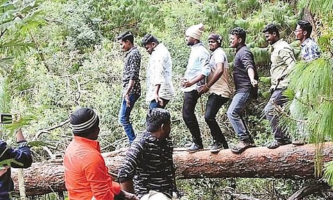 கொடைக்கானல் மேல்மலைக் கிராமம் பூம்பாறை பகுதியில் முகக்கவசம் இன்றி உலா வந்த இளைஞர்கள்.