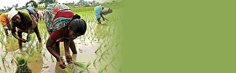 தமிழக அரசின் முன்னுள்ள விவசாயிகளின் பிரச்சினைகள்