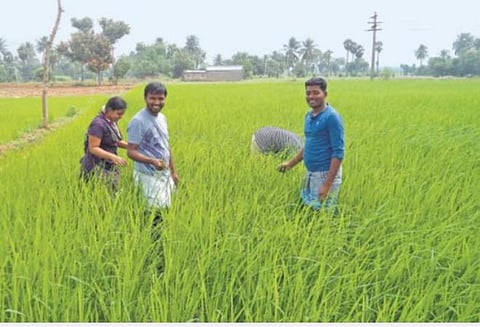 பிரதிநிதித்துவப் படம்