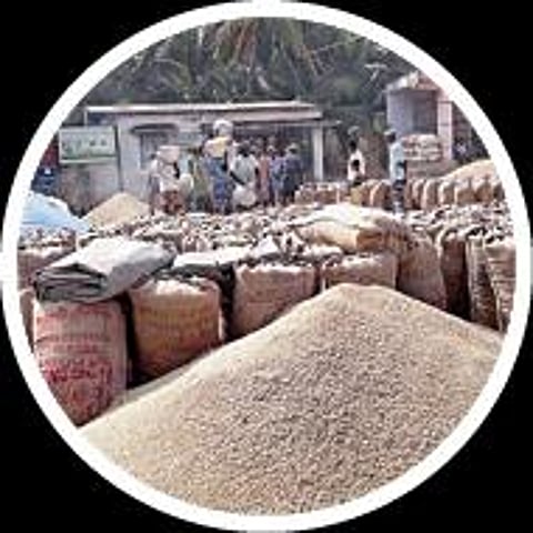 வேளாண் பட்ஜெட்: நெல் கொள்முதல் விலை உயர்வு; 6 லட்சம் விவசாயிகள் பயன்பெறுவார்கள்