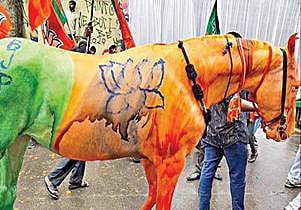 இந்தூரில் பாஜக ஊர்வலத்தில் இடம்பெற்ற குதிரை.