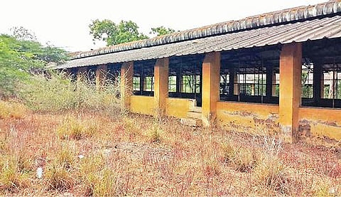 கோவை அரசூர் ஊராட்சிக்குட்பட்ட அவிநாசி சாலையில் கால்நடைபராமரிப்புத் துறைக்கு சொந்தமான நிலத்தில் பராமரிப்பின்றி காணப்படும் கோழிப்பண்ணை கட்டிடம்.