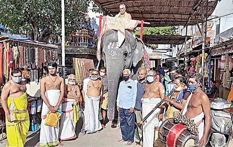 திருச்செந்தூர் செந்திலாண்டவர் கோயிலில் ஆவணித் திருவிழாவை முன்னிட்டு யானை மேல் வைத்து எடுத்து வரப்பட்ட கொடிப்பட்டம்.