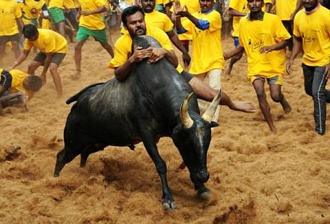 பிரதிநிதித்துவப் படம்