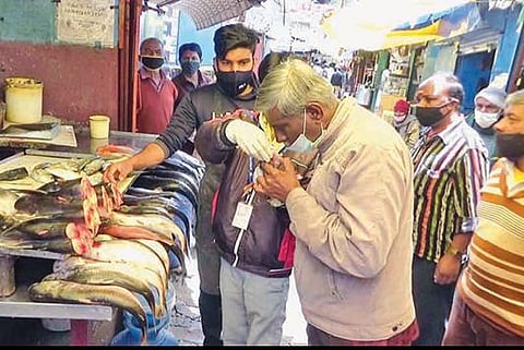 உதகை சந்தையில் கெட்டுப்போன 400 கிலோ மீன்கள் அழிப்பு: 10 கடைகளின் உரிமையாளர்களுக்கு விளக்கம் கேட்டு நோட்டீஸ்