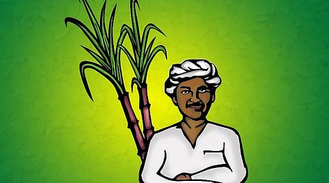 ஊரக உள்ளாட்சித் தேர்தலில் நாம் தமிழர் கட்சிக்கு விவசாயி சின்னம்